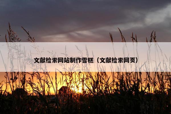 文献检索网站制作雪糕（文献检索网页）