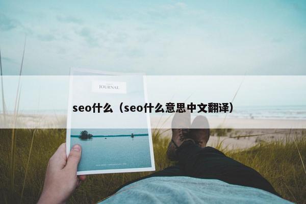 seo什么（seo什么意思中文翻译）