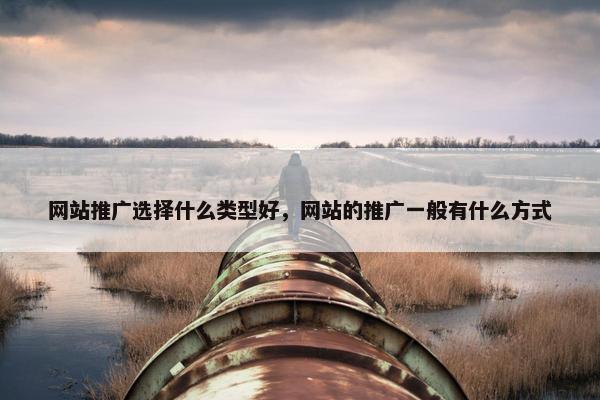 网站推广选择什么类型好，网站的推广一般有什么方式