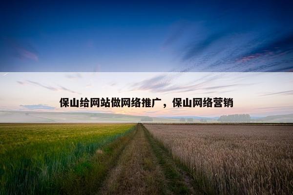 保山给网站做网络推广，保山网络营销