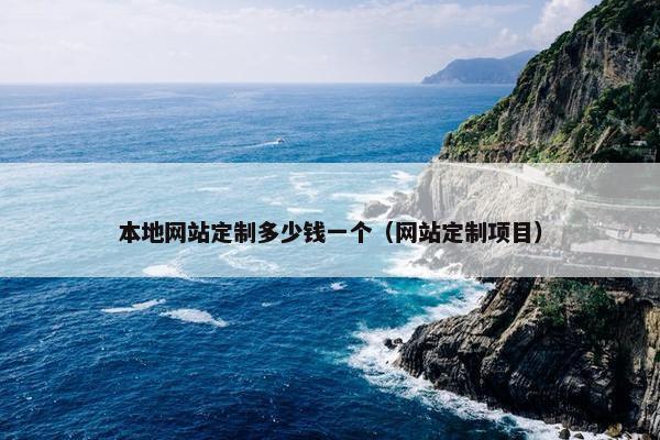 本地网站定制多少钱一个（网站定制项目）