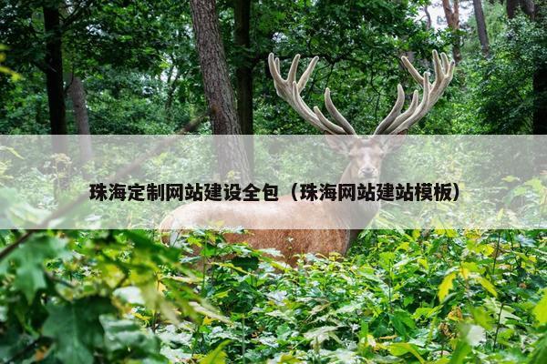 珠海定制网站建设全包（珠海网站建站模板）