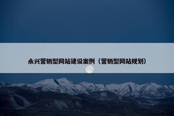 永兴营销型网站建设案例（营销型网站规划）