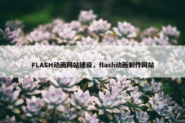 FLASH动画网站建设，flash动画制作网站