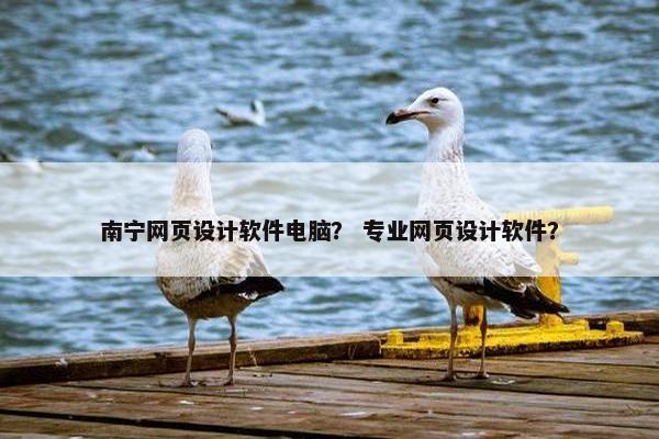 南宁网页设计软件电脑？ 专业网页设计软件？