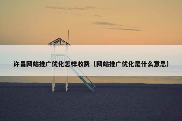 许昌网站推广优化怎样收费（网站推广优化是什么意思）
