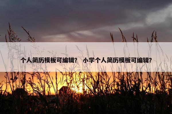个人简历模板可编辑？ 小学个人简历模板可编辑？