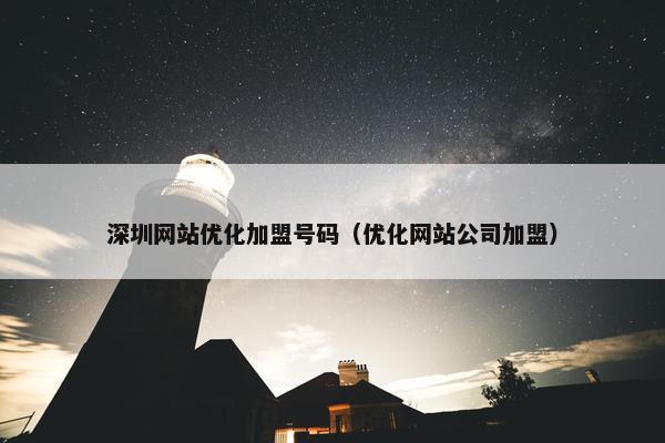 深圳网站优化加盟号码（优化网站公司加盟）