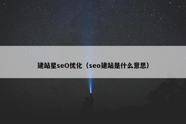 建站星seO优化（seo建站是什么意思）