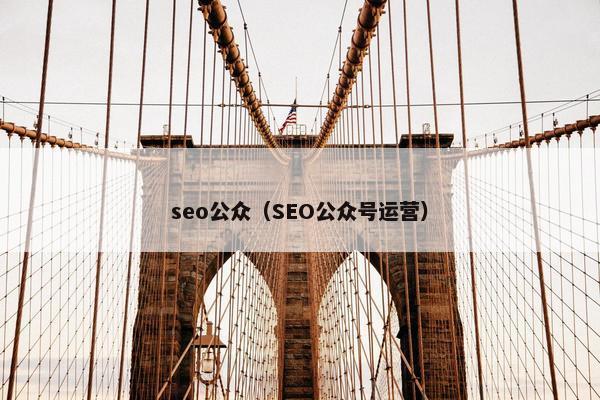 seo公众（SEO公众号运营）