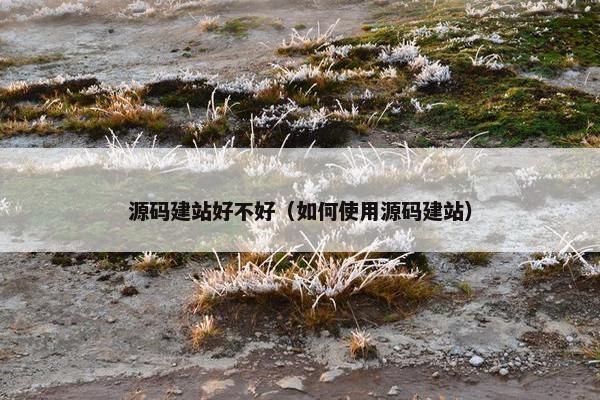 源码建站好不好（如何使用源码建站）