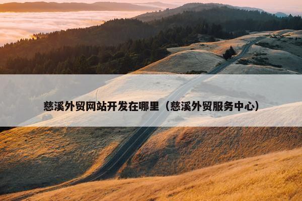 慈溪外贸网站开发在哪里（慈溪外贸服务中心）