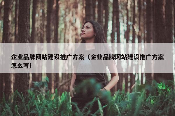 企业品牌网站建设推广方案（企业品牌网站建设推广方案怎么写）