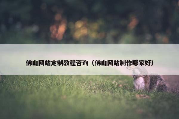 佛山网站定制教程咨询（佛山网站制作哪家好）