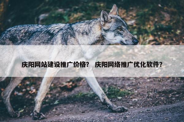 庆阳网站建设推广价格？ 庆阳网络推广优化软件？