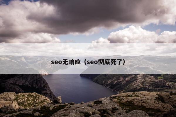 seo无响应（seo彻底死了）
