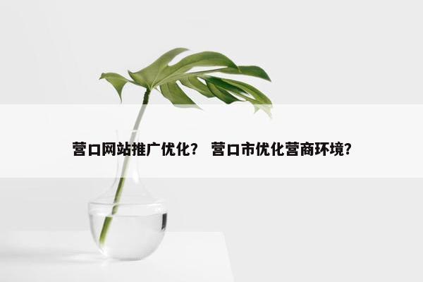 营口网站推广优化？ 营口市优化营商环境？