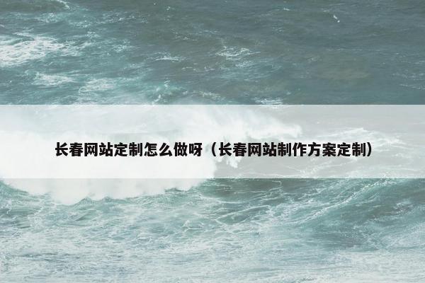长春网站定制怎么做呀（长春网站制作方案定制）