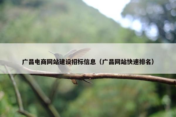 广昌电商网站建设招标信息（广昌网站快速排名）