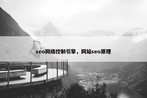 seo网络控制引擎，网站seo原理
