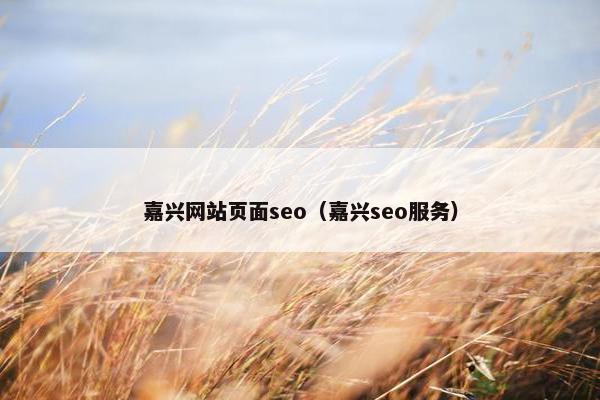 嘉兴网站页面seo（嘉兴seo服务）