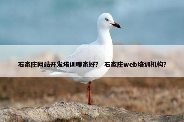 石家庄网站开发培训哪家好? 石家庄web培训机构? 石家庄网站开发培训哪家好? 石家庄web培训机构?