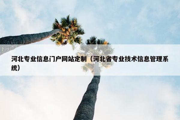 河北专业信息门户网站定制（河北省专业技术信息管理系统）