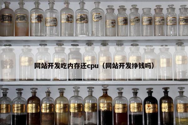 网站开发吃内存还cpu（网站开发挣钱吗）