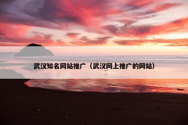 武汉知名网站推广（武汉网上推广的网站）