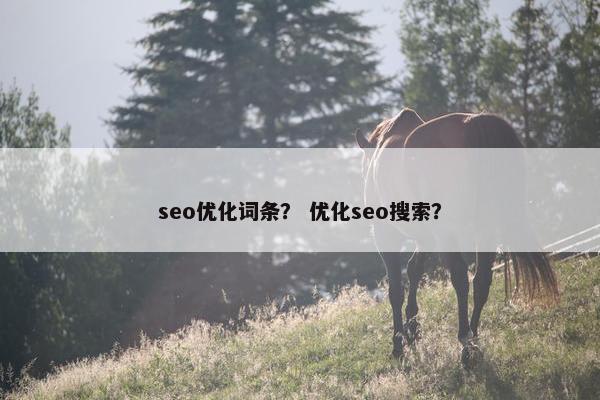 seo优化词条？ 优化seo搜索？