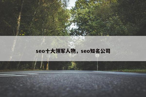 seo十大领军人物，seo知名公司