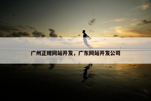 广州正规网站开发，广东网站开发公司