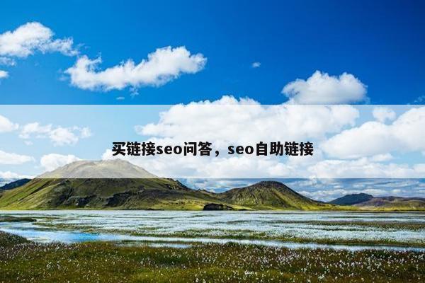 买链接seo问答，seo自助链接