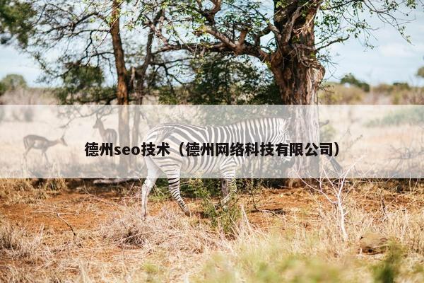 德州seo技术（德州网络科技有限公司）