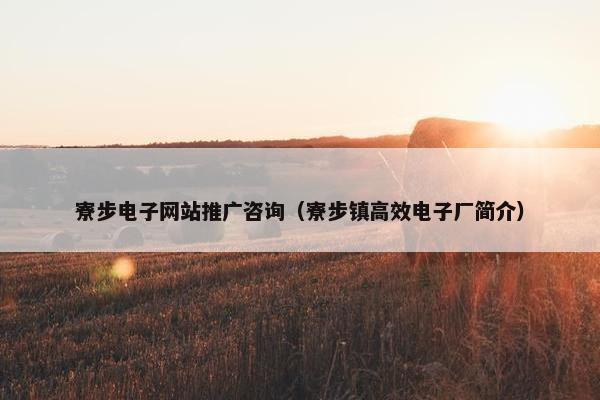寮步电子网站推广咨询（寮步镇高效电子厂简介）