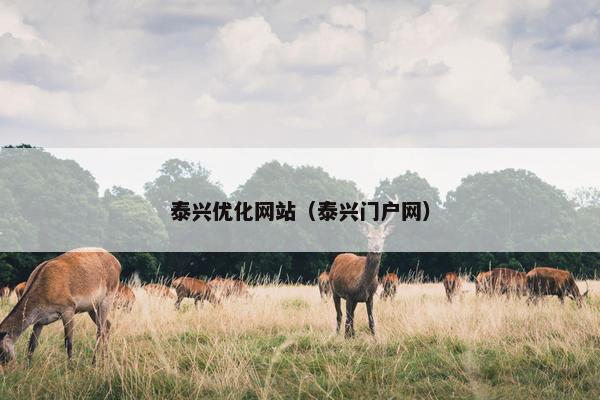 泰兴优化网站（泰兴门户网）