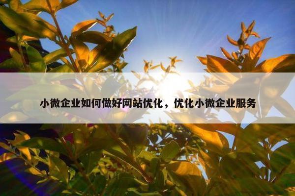 小微企业如何做好网站优化，优化小微企业服务