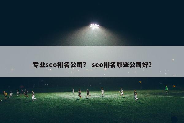 专业seo排名公司？ seo排名哪些公司好？