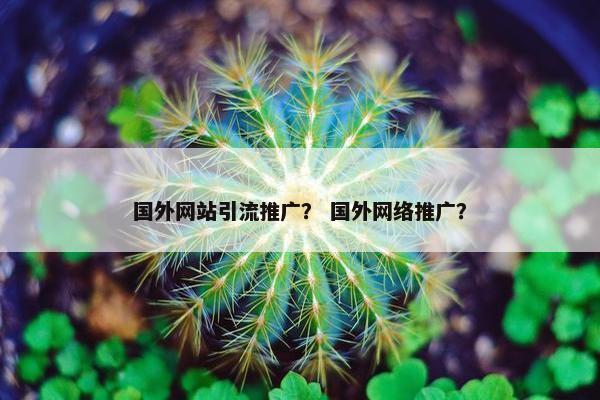 国外网站引流推广？ 国外网络推广？