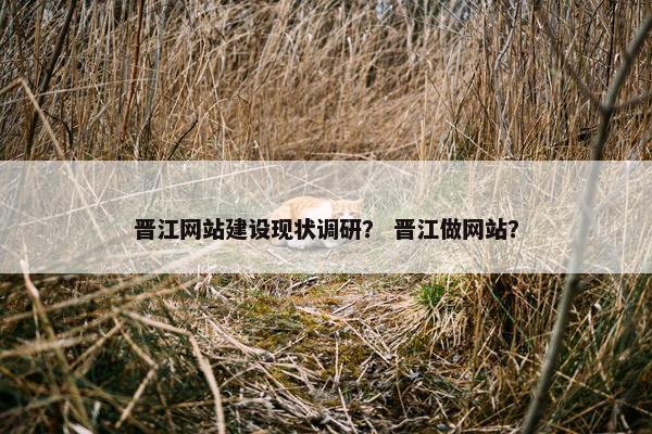 晋江网站建设现状调研？ 晋江做网站？
