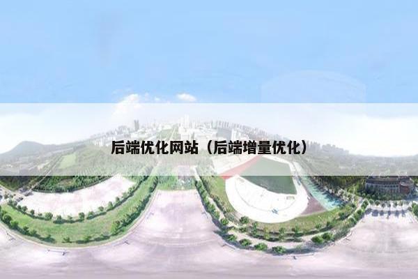 后端优化网站（后端增量优化）