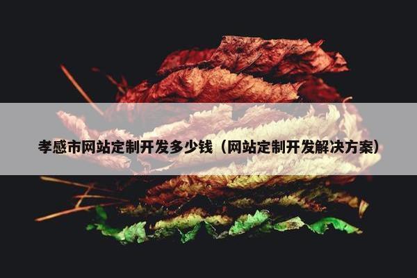孝感市网站定制开发多少钱（网站定制开发解决方案）
