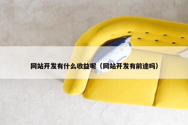 网站开发有什么收益呢（网站开发有前途吗）
