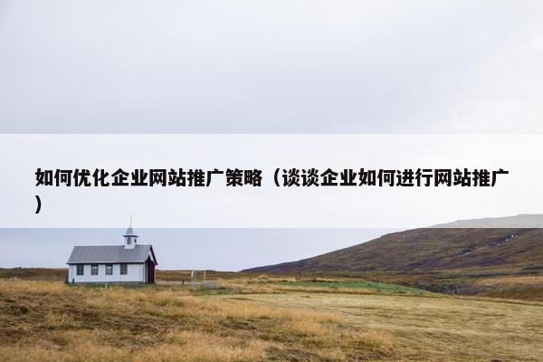 如何优化企业网站推广策略（谈谈企业如何进行网站推广）