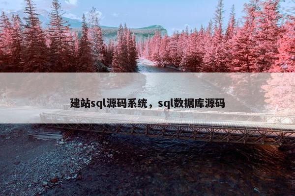 建站sql源码系统，sql数据库源码