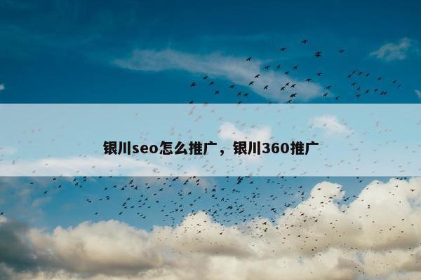银川seo怎么推广，银川360推广