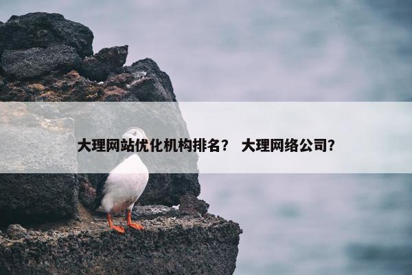 大理网站优化机构排名？ 大理网络公司？