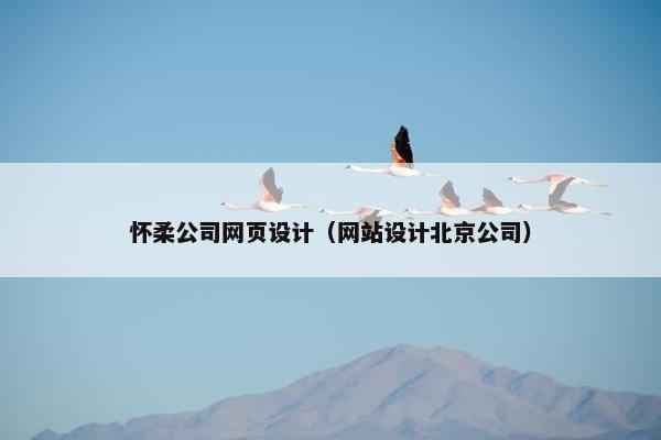 怀柔公司网页设计（网站设计北京公司）