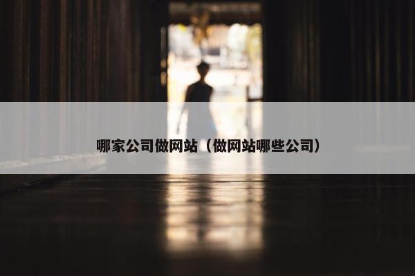 哪家公司做网站（做网站哪些公司）
