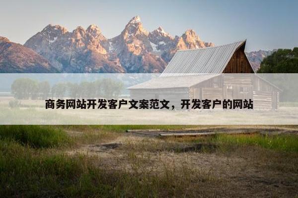 商务网站开发客户文案范文，开发客户的网站